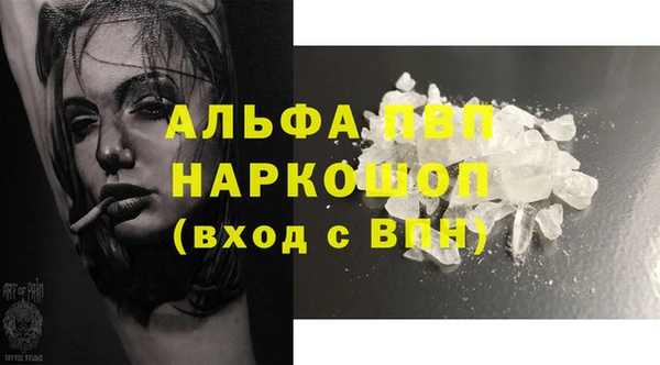 гидра Майский