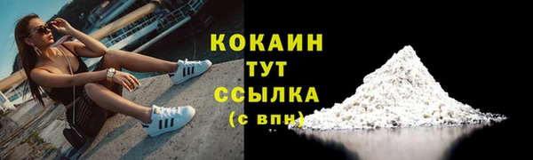 гидра Майский