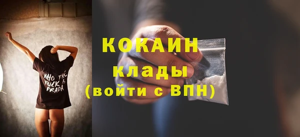 гидра Майский