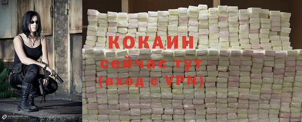 гидра Майский